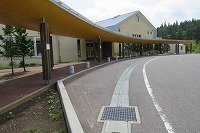 IMG_2201.jpg