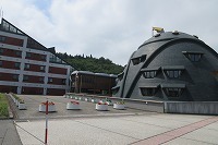 IMG_2210.jpg