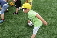 IMG_2218.jpg