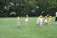 IMG_2228.jpg