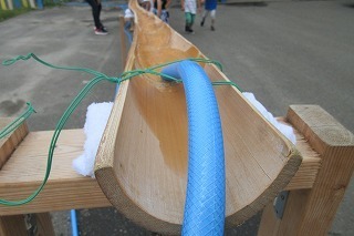 IMG_2237.jpg