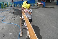 IMG_2250.jpg