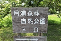 IMG_2347.jpg