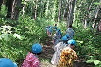 IMG_2362.jpg