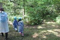 IMG_2378.jpg
