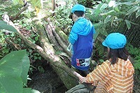 IMG_2400.jpg