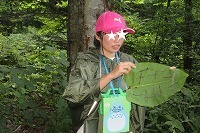IMG_2409.jpg