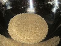 IMG_2663.jpg