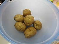 IMG_2674.jpg