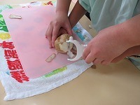 IMG_2675.jpg