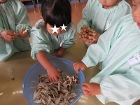 IMG_2693.jpg
