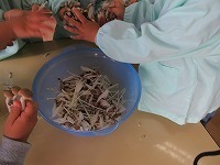 IMG_2696.jpg