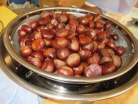 IMG_2698.jpg