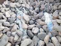 IMG_2735.jpg