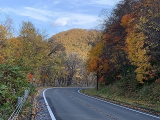 IMG_2761.jpg