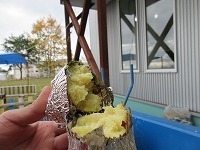 IMG_2768.jpg