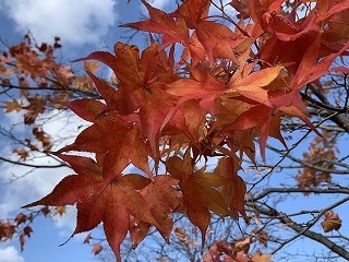 IMG_2769.jpg