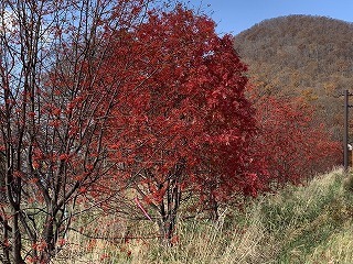 IMG_2777.jpg