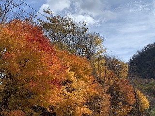IMG_2783.jpg