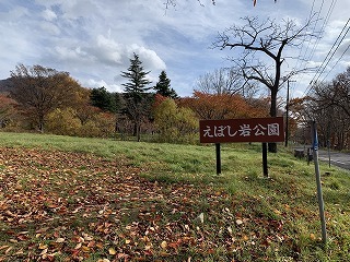 IMG_2790.jpg