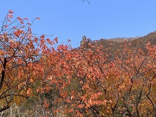 IMG_2791.jpg