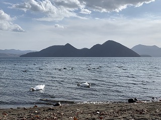 IMG_2797.jpg