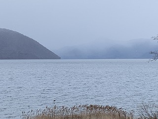 IMG_2816.jpg