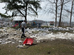 IMG_2847.jpg
