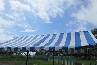IMG_2943.jpg