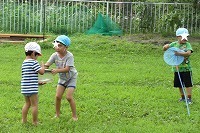 IMG_2949.jpg