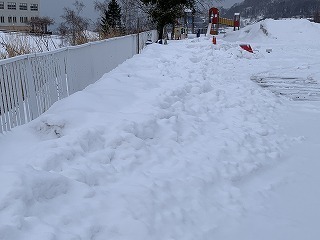 IMG_2977.jpg