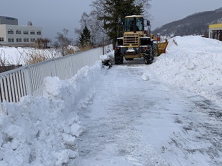 IMG_2979.jpg