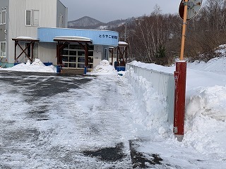 IMG_2985.jpg