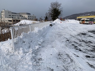 IMG_2986.jpg