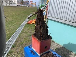 IMG_3117.jpg