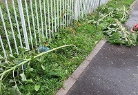 IMG_3127.jpg