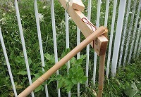 IMG_3128.jpg