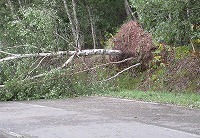 IMG_3130.jpg