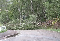IMG_3135.jpg