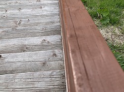 IMG_3243.jpg