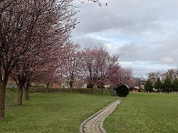 IMG_3257.jpg