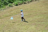 IMG_3335.jpg