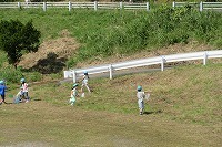 IMG_3336.jpg
