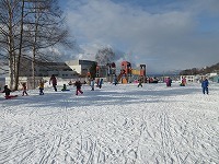 IMG_3337.jpg