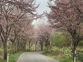 IMG_3337.jpg