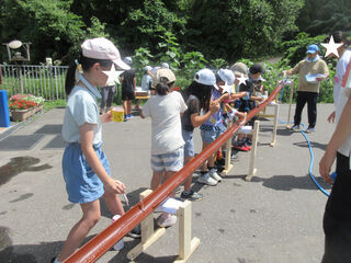 IMG_3662a.JPG