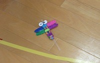 IMG_3714.jpg