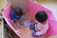 IMG_3736.jpg