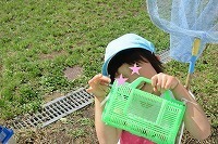 IMG_3741.jpg