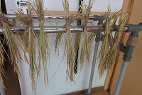 IMG_3874.jpg